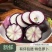 【实力货源】冰激凌萝卜新鲜水果萝卜紫皮全国供应