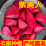 【精品紫美人萝卜】寿光产地新鲜采摘现摘现发全国供应
