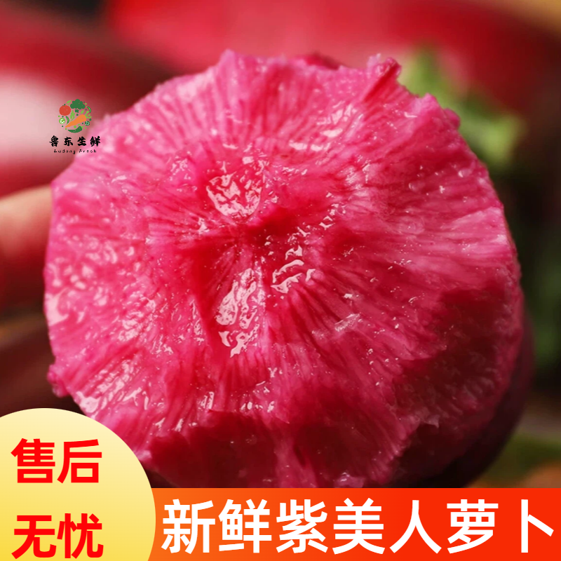 【精品紫美人萝卜】寿光产地新鲜采摘现摘现发全国供应