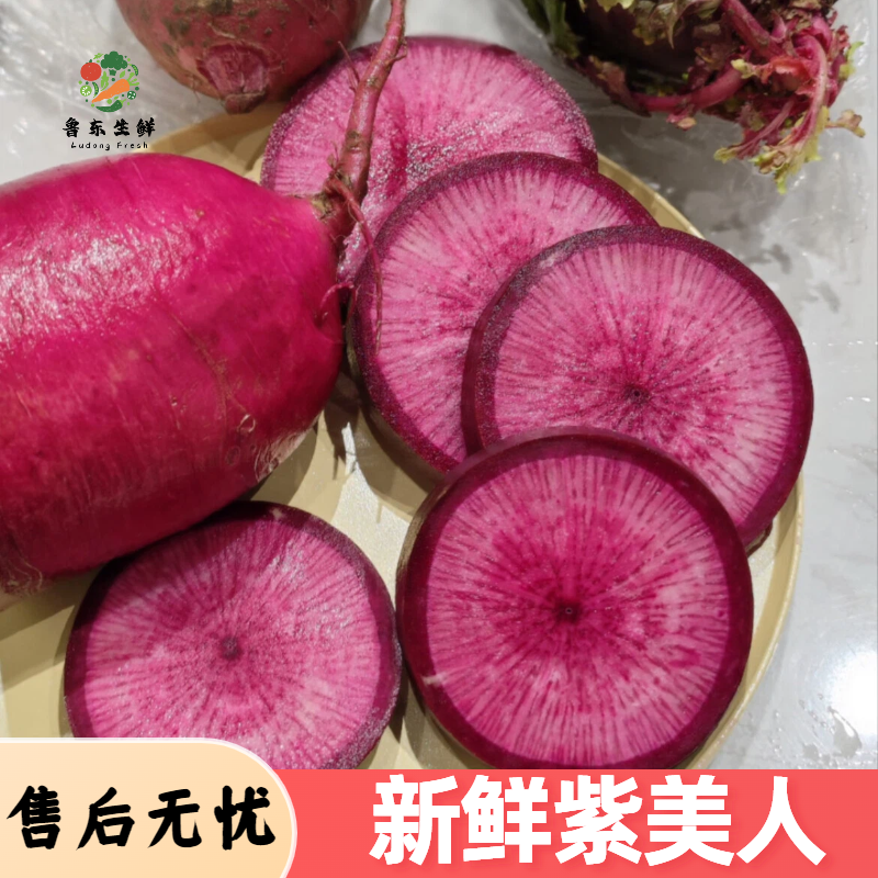 【精品紫美人萝卜】寿光产地新鲜采摘现摘现发全国供应