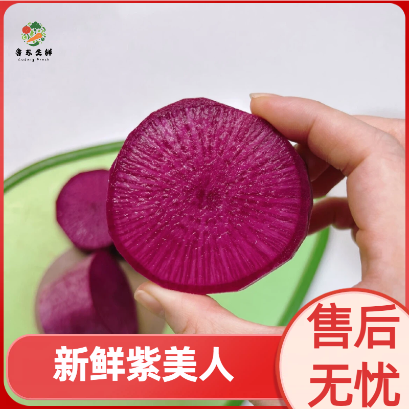 【寿光紫美人萝卜】新鲜产地直发全国供应品质保证