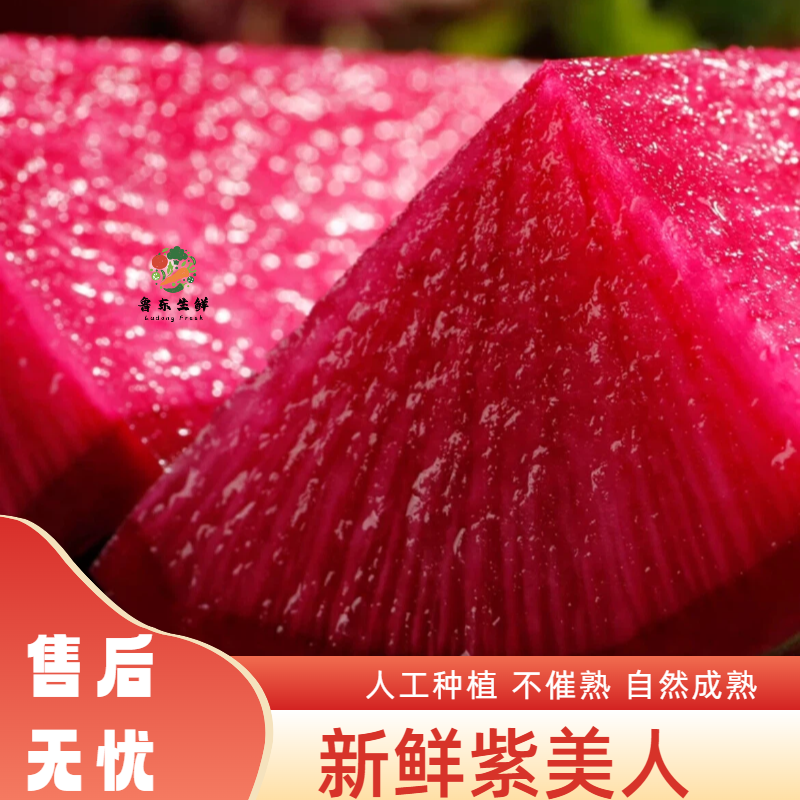 【寿光紫美人萝卜】新鲜产地直发全国供应品质保证