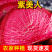 【寿光紫美人萝卜】新鲜产地直发全国供应品质保证