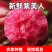 【实力货源】紫美人萝卜新鲜即食现摘现发全国供应