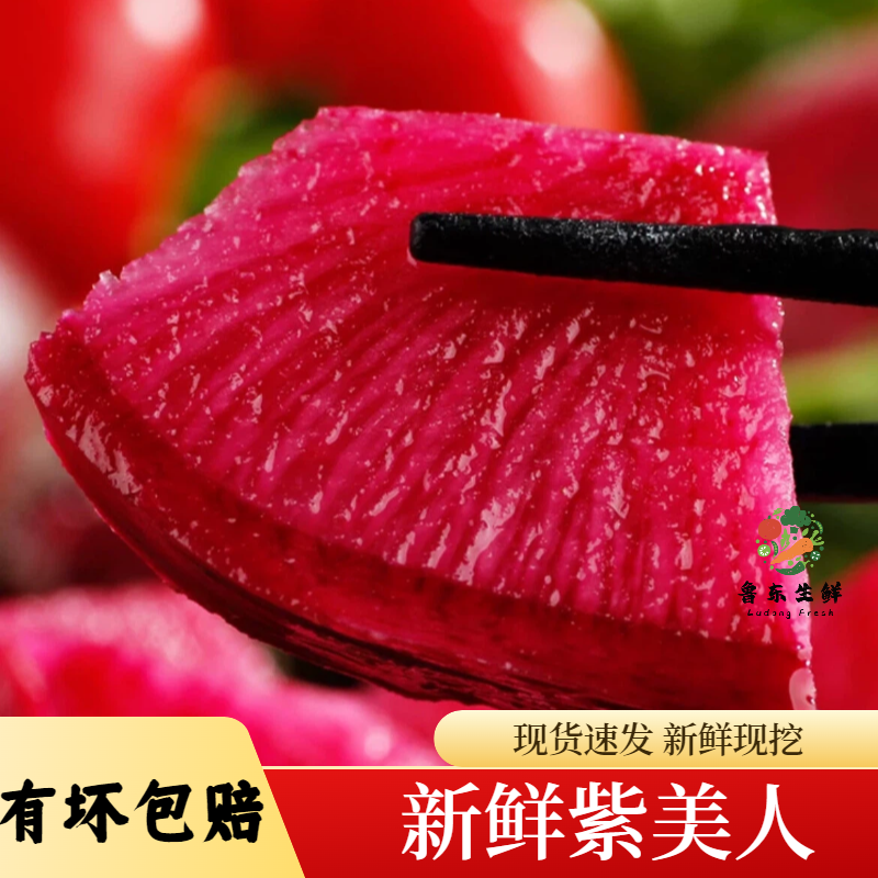 【实力货源】紫美人萝卜新鲜即食现摘现发全国供应