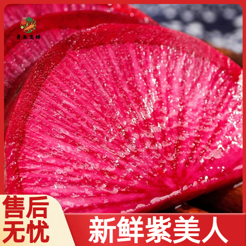 【实力货源】紫美人萝卜新鲜即食现摘现发全国供应