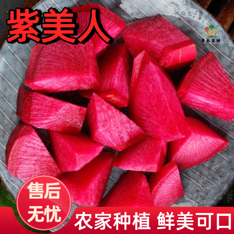 【实力货源】紫美人萝卜新鲜即食现摘现发全国供应