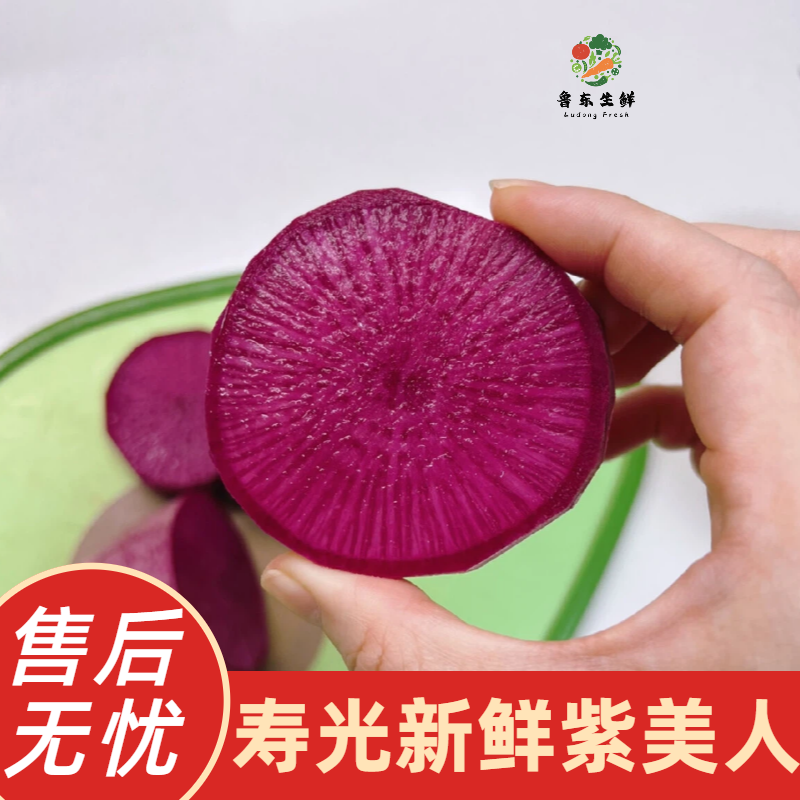 【实力货源】紫美人萝卜新鲜即食现摘现发全国供应