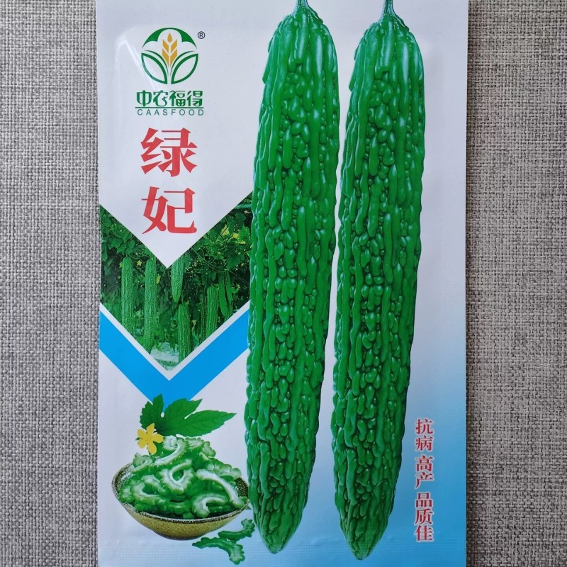 绿妃苦瓜种子早熟耐热耐寒杂交油绿苦瓜种籽果肉厚刺瘤多油亮