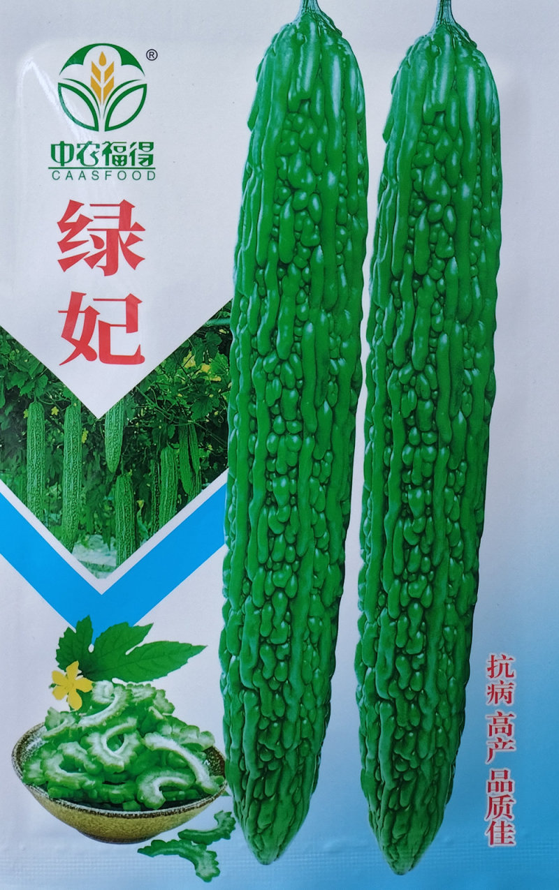 绿妃苦瓜种子早熟耐热耐寒杂交油绿苦瓜种籽果肉厚刺瘤多油亮