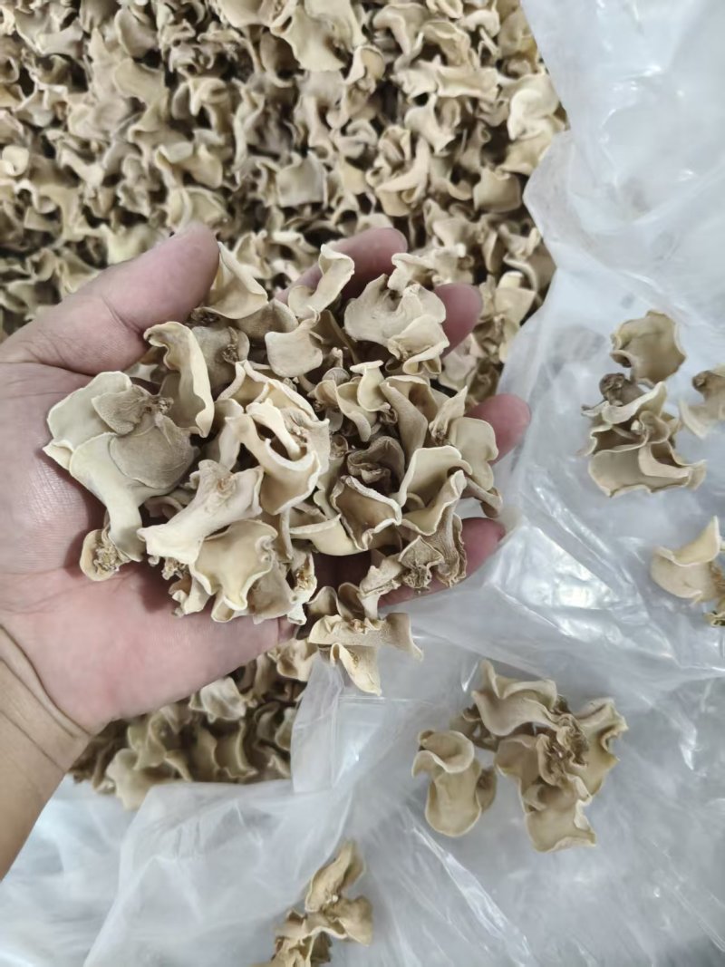 干玉木耳