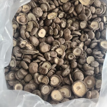 干香菇