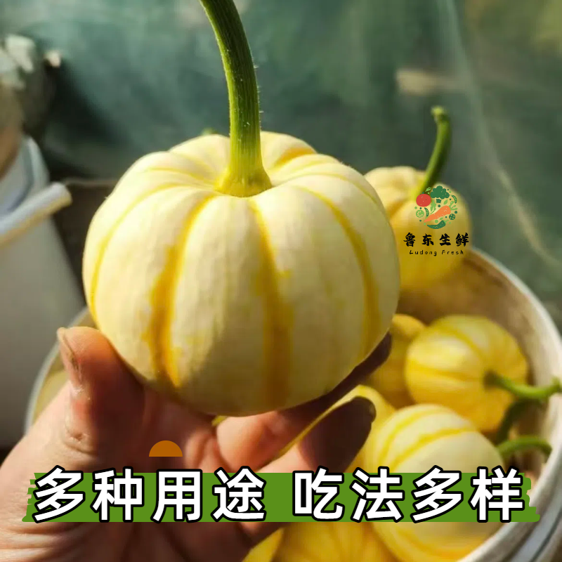 【寿光金桔南瓜】产地新鲜采摘现摘现发全国供应