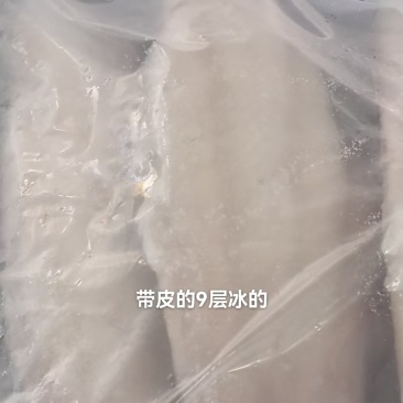 巴沙鱼柳/带皮鱼柳，去皮鱼柳/规格齐全/量大从优工厂直发