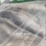 巴沙鱼柳/带皮鱼柳，去皮鱼柳/规格齐全/量大从优工厂直发