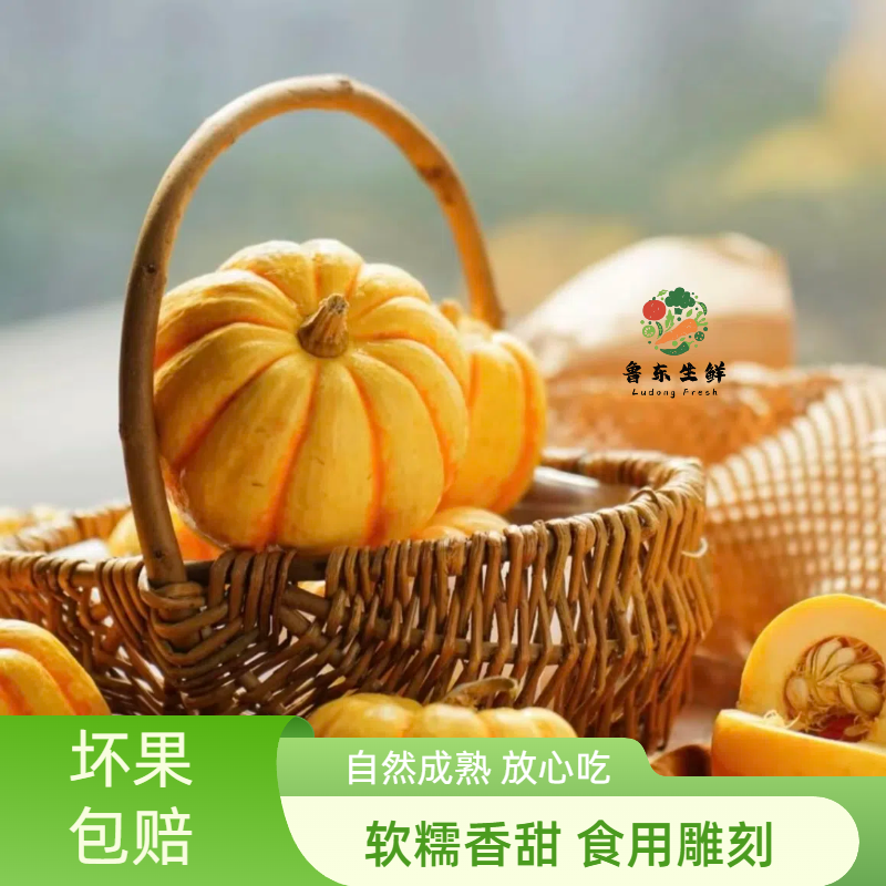 【实力货源】金桔南瓜产地直供现摘现发金色南瓜