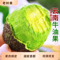 云南牛油果一件代发产地直发一手货源对接各大电商平台