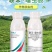 25%联苯噻虫胺杀虫剂小麦蚜虫腻虫飞虱蓟马白粉虱虫卵双杀