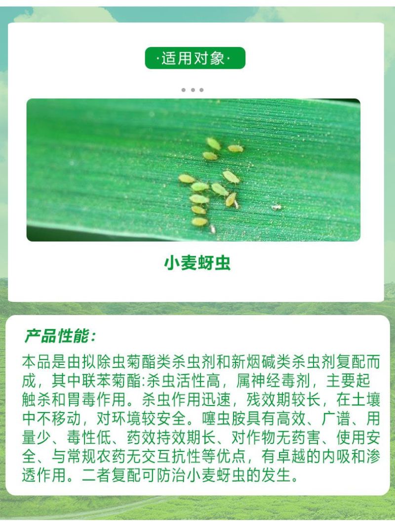 25%联苯噻虫胺杀虫剂小麦蚜虫腻虫飞虱蓟马白粉虱虫卵双杀