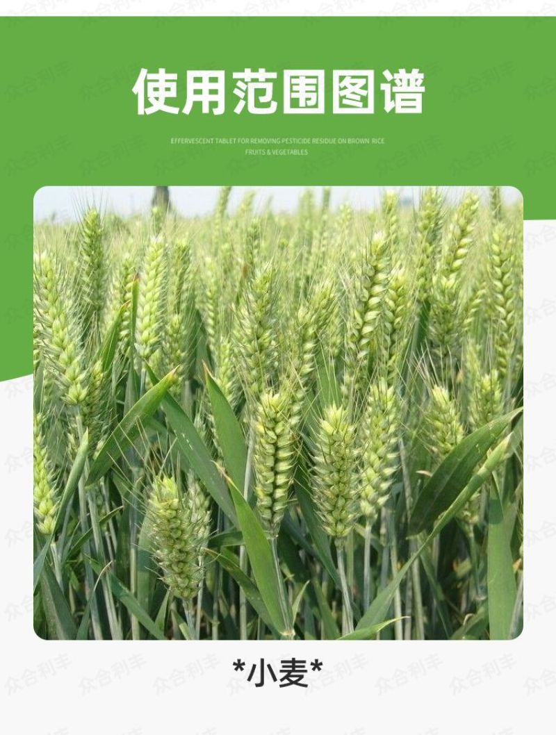 25%联苯噻虫胺联苯菊酯噻虫胺杀虫剂蚜虫蓟马跳甲触杀胃毒
