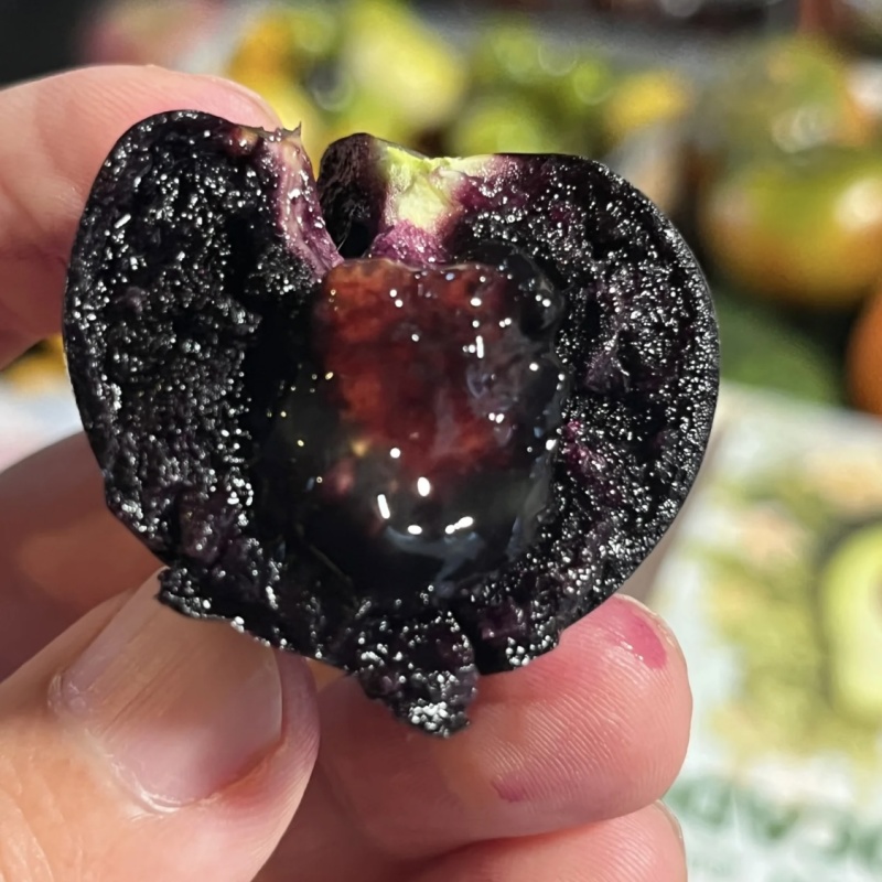 【精品花青子小番茄】产地直供现摘现发全国供应欢迎咨询