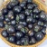 【实力货源】花青子小番茄现摘现发拼多多电商