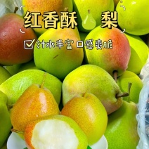 辽宁红香酥梨，个大皮薄，多汁，果肉细量大价优