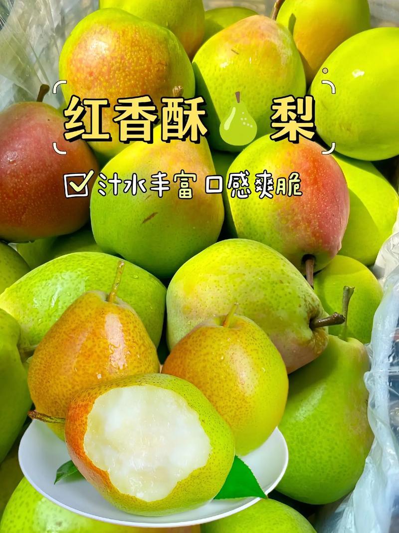 辽宁红香酥梨，个大皮薄，多汁，果肉细量大价优