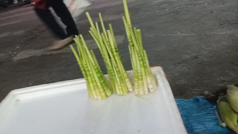 金竹笋产地直销量大质优价格优惠欢迎各大老板采购