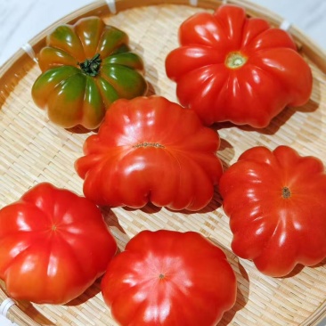 【寿光粉马蹄番茄】产地直发现摘现发新鲜直供欢迎咨询