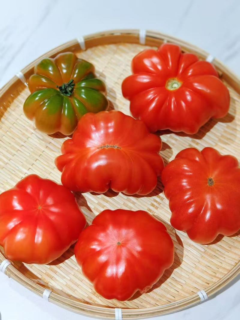 【寿光粉马蹄番茄】产地直发现摘现发新鲜直供欢迎咨询