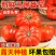 【寿光粉马蹄番茄】产地直发现摘现发新鲜直供欢迎咨询