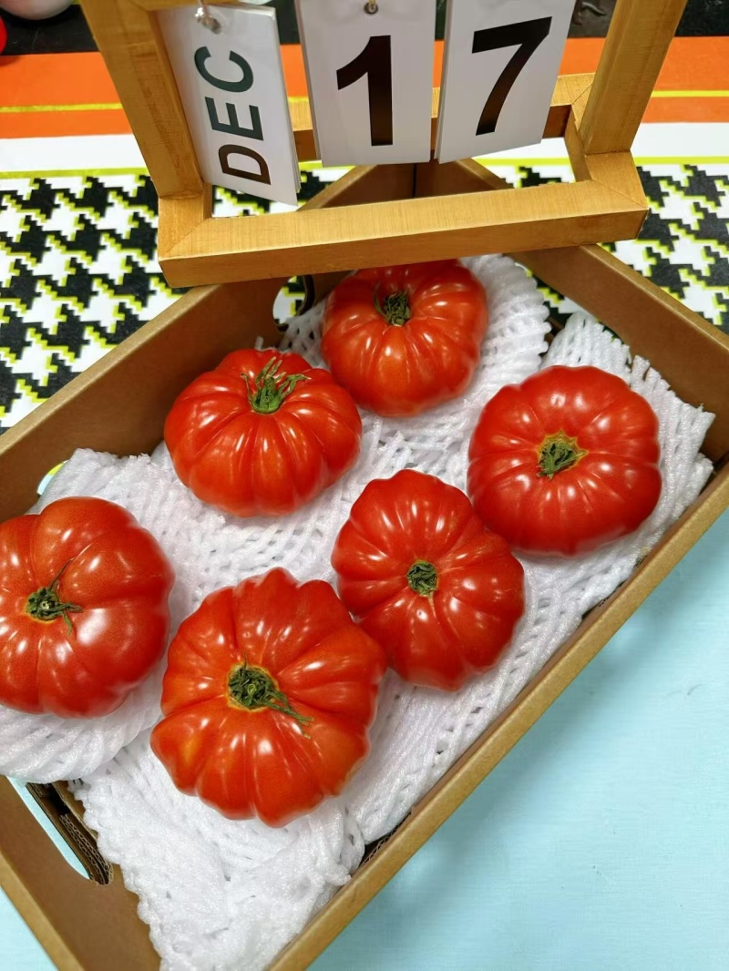 【精品粉马蹄番茄】寿光产地直发新鲜采摘全国供应欢迎咨询