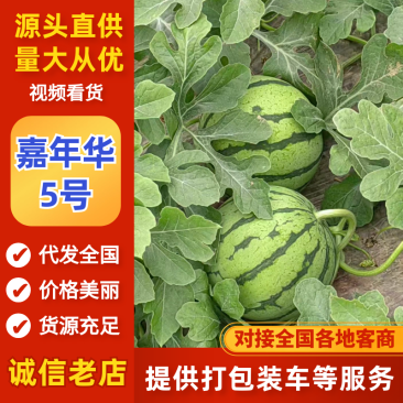 嘉年华5号基地直发，大量供应，口感好，可发全国
