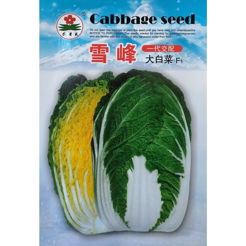 雪峰大白菜种子早春大棚耐寒杂交大白菜种籽秋季露地优质黄心