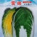 雪峰大白菜种子早春大棚耐寒杂交大白菜种籽秋季露地优质黄心