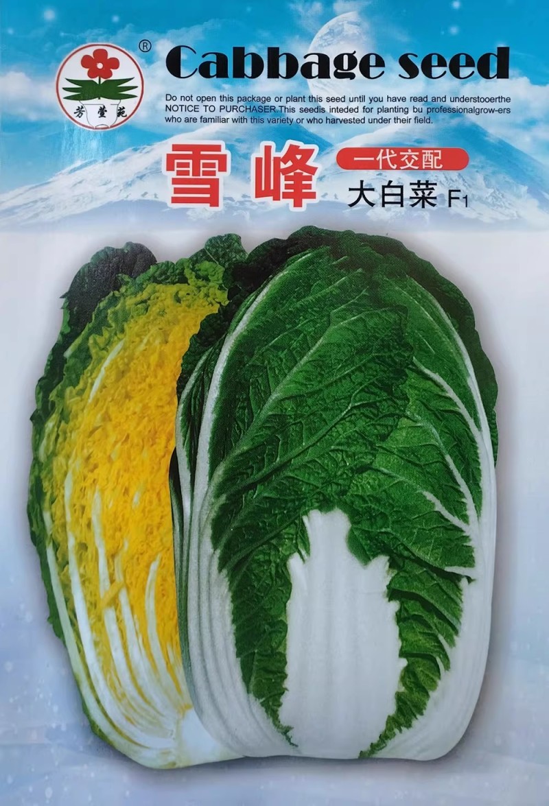 雪峰大白菜种子早春大棚耐寒杂交大白菜种籽秋季露地优质黄心