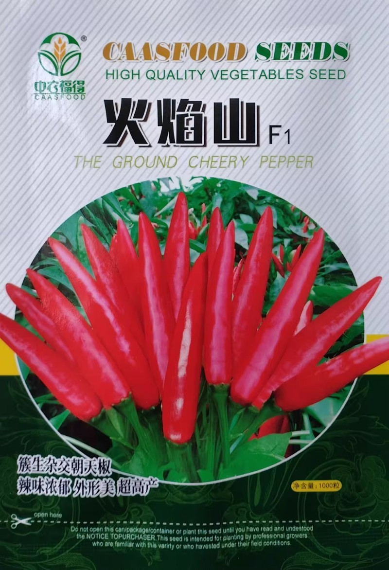 火焰山朝天椒种子杂交簇生高辣朝天椒种籽高产皮厚辣味浓早熟
