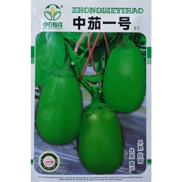 中茄一号杂交早熟绿茄种子果皮光滑亮绿耐热抗病高产优质茄子