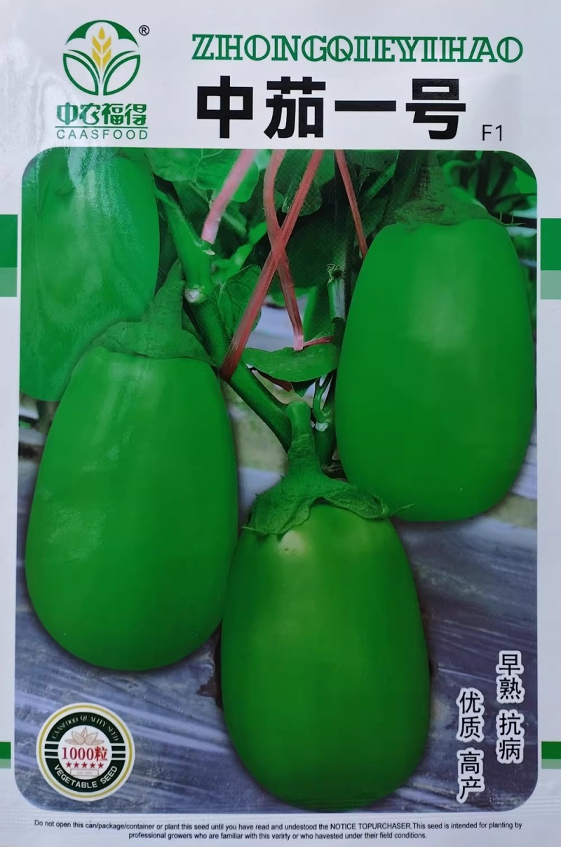 中茄一号杂交早熟绿茄种子果皮光滑亮绿耐热抗病高产优质茄子
