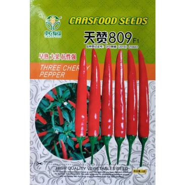 天赞809早熟大果单生朝天椒种子辣椒种籽橘红果指天椒抗病
