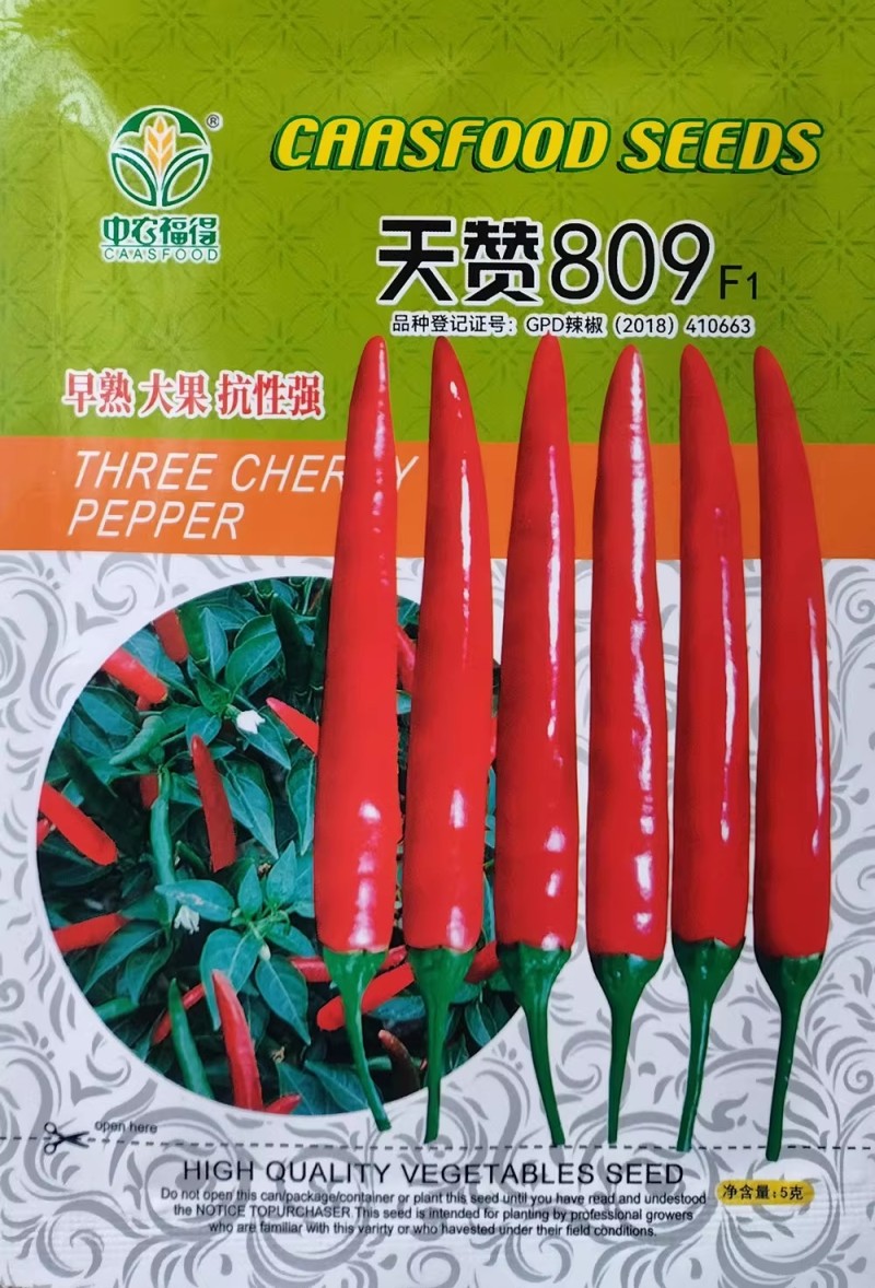 天赞809早熟大果单生朝天椒种子辣椒种籽橘红果指天椒抗病