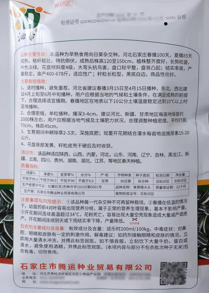 食葵矮大头向日葵种子早熟高产杂交大盘长粒食用向日葵种籽