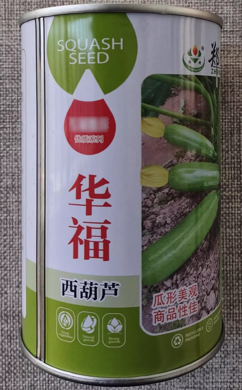 华福西葫芦种子翠绿油亮高产笋瓜种籽长势快瓜形美观耐高温