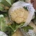 松花菜有机花菜菜花青梗白面松花菜无黑点大小朵都有按需分拣