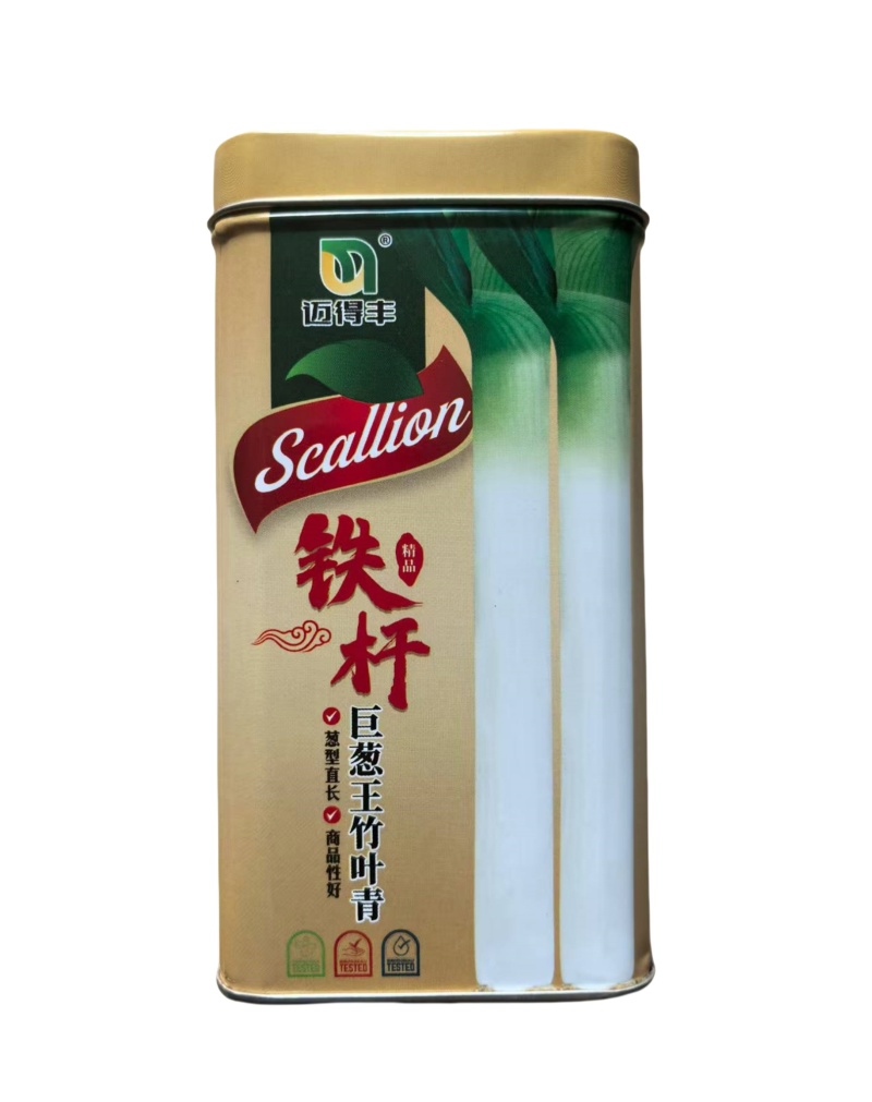 铁杆巨葱王竹叶青大葱种子高产抗倒伏章丘大葱种子