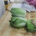精品黄心大白菜无烧心烧边无喝点儿卖相好净菜毛菜都行