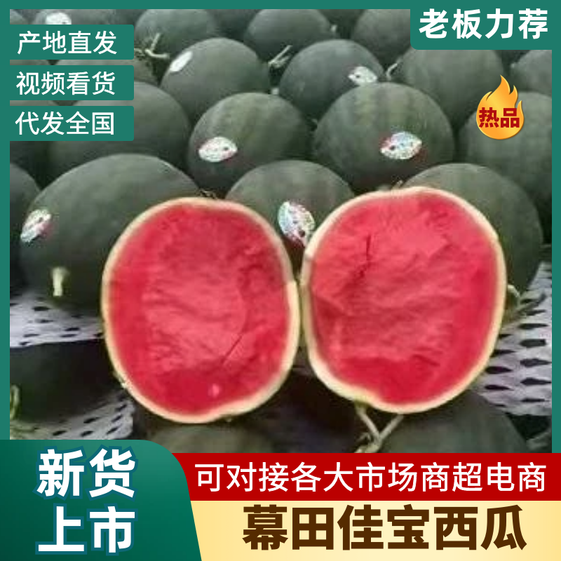 【陕西幕田佳宝西瓜】渭南西瓜大量上市可对接全国客商