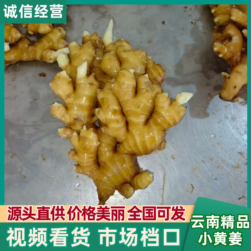 【精选】山东精品小黄姜千亩基地现挖现发对接全国量大从优