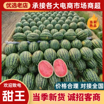 【实力】陕西甜王西瓜/蒲城西瓜有籽无籽甜王商超电商代发